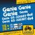Genie GS-3268RT matricakészlet (levonó, decal, Aufkleber)