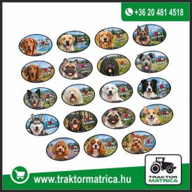 I Love my Dog matrica (18 cm) (levonó, decal, Aufkleber)